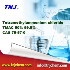 Тетраметиламмония хлорид поставщиков