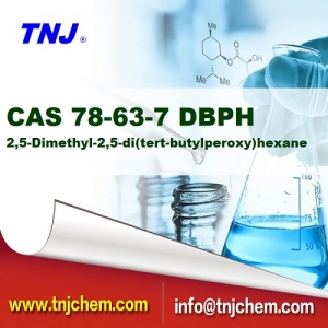 Buy Rubber compounds 2,5-Dimethyl-2,5-di(tert-butylperoxy)hexane BPDH/DBPH, CAS 78-63-7 suppliers